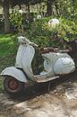 Old Vespa van Marianne Bal thumbnail