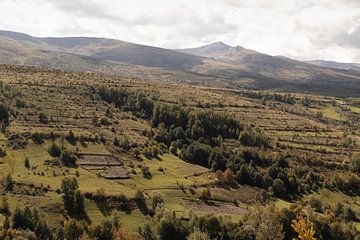 Herbst im Hochgebirge bei Shishtavec, Albanien von Jochem Oomen