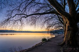 Baldeneysee, Essen, North Rhine-Westphalia, Germany by Alexander Ludwig