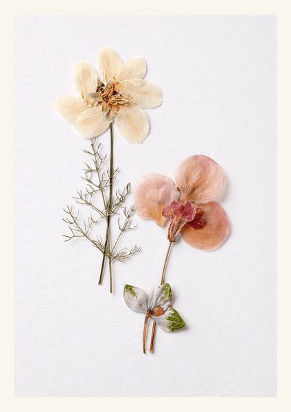 Botanischer Wabisabi von Studio Allee