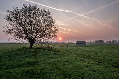 Weiland met boom en schuur bij zonsopkomst 01
