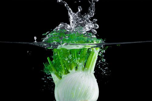 Mega mooie splash van venkel