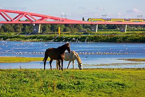 Hanze Bogen Eisenbahnbrücke Zwolle von Anton de Zeeuw