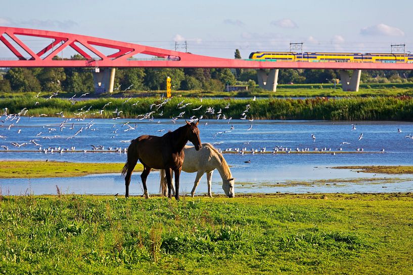 Pont ferroviaire en arc Hanze Zwolle par Anton de Zeeuw