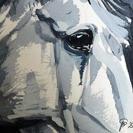 Horse Look Closer by Go van Kampen