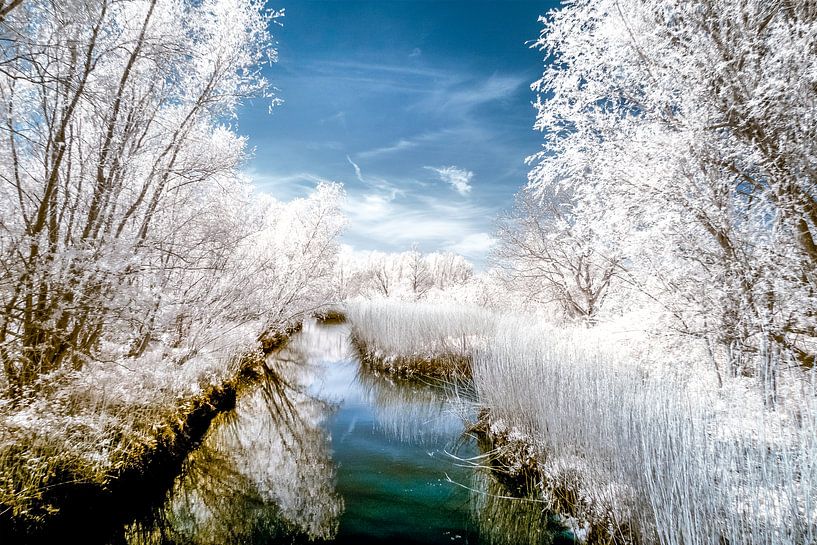 Vue à travers le Carnisse Grienden par Ad Van Koppen Fotografie