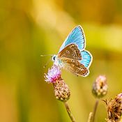 Marcel van de Vin Profile picture