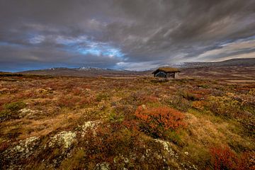 Herfstlandschap in Noorwegen van Andy Luberti