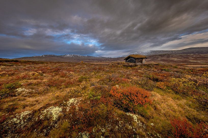 Herbstlandschaft in Norwegen von Andy Luberti
