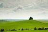 Boom op heuvel in het glooiende lentegroene Engelse landschap van Danny Motshagen thumbnail