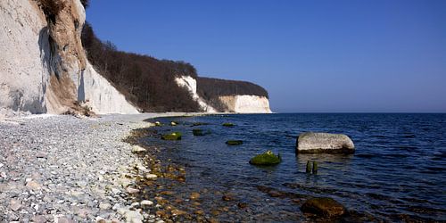 Kreidefelsen Rügen