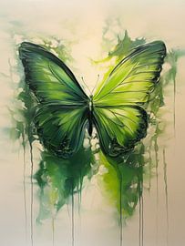 Butterfly by Imagine