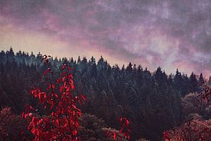 A Dream Away - la forêt au soir d'automne