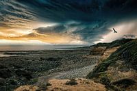 A Storm is Coming