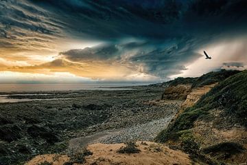 A Storm is Coming van Evert Jan Looise