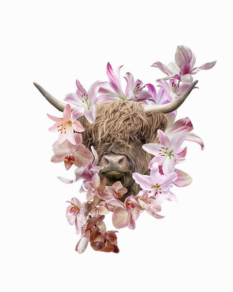 Scottish Highlander by Esther Wijntje