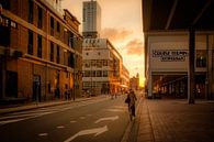Rotterdam is goud van Marco van den Arend thumbnail