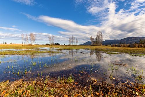 Wolkenreflectie in een plas