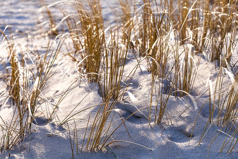 Uitwaaien aan het strand van Willy Sybesma