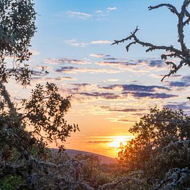 Sonnenuntergang im Nationalpark Monfrague Extremadura Spanien von Lex van Doorn