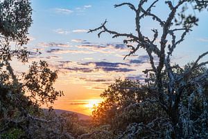 Sonnenuntergang im Nationalpark Monfrague Extremadura Spanien