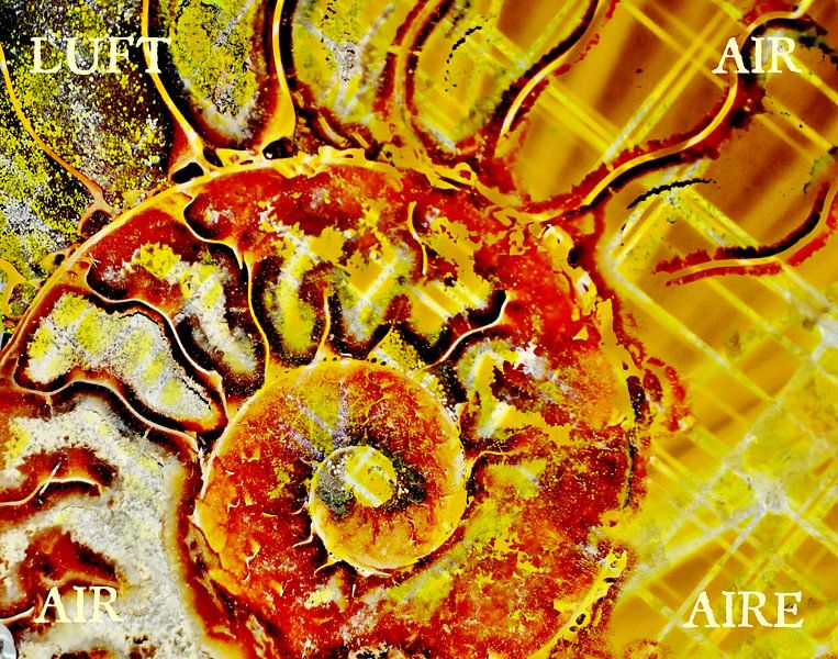 versteinerer Ammonit als Element Luft mixed media von Werner Lehmann