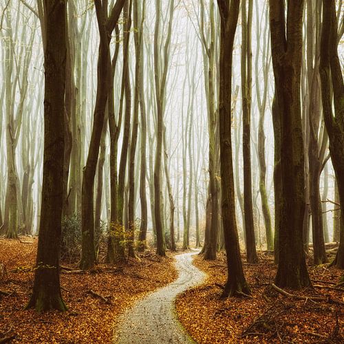 Winter around the corner