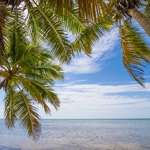 FLORIDA KEYS zeezicht van Melanie Viola