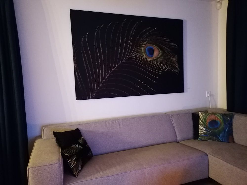 Pfauenfeder als Blickfang (horizontal) von Mayra Fotografie