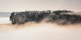 Nebel um den Gulperberg