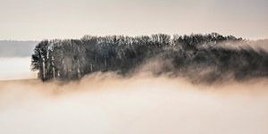 Nebel um den Gulperberg