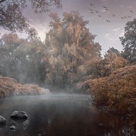 Rivier de Worm van Maurice Cobben