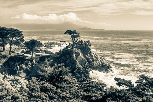 The Lone Cypress près de Monterey - Photographie analogique N&B