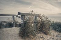 Dune on Sylt
