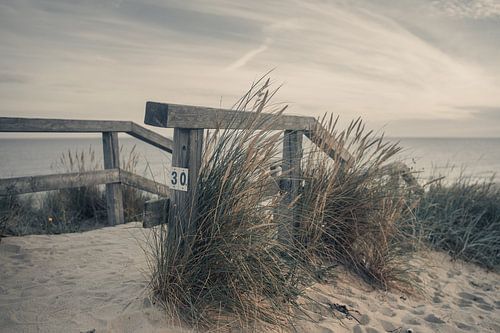 Dune sur l'île de Sylt