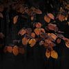 Art with picturesque leaves industrial black by Rob Visser