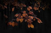 Art with picturesque leaves industrial black by Rob Visser thumbnail