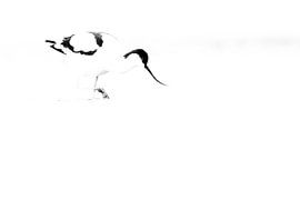 Toddler in black and white