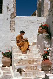 Woman reading on white steps with cats by Steinfox Art