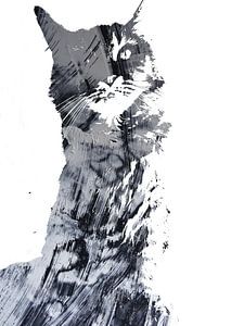 Art du chat - Diva 8