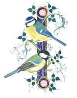 Serenade für Singvögel