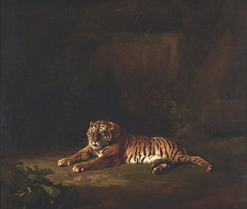 Tiger, George Stubbs