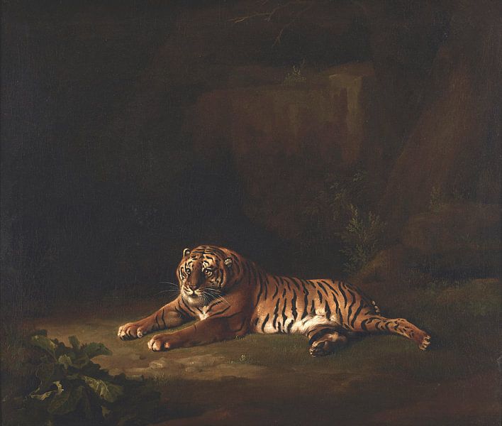 Tiger, George Stubbs by Masterful Masters