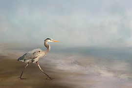 Amerikanischer Graureiher am Meer von Diana van Tankeren