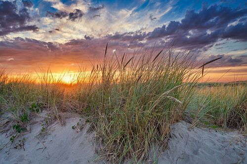 Close-up of the dune landscape at sunset