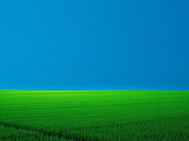 Unendliche grüne Weite unter azurblauem Himmel: Eine minimalistische Landschaft der Gelassenheit und des Wachstums