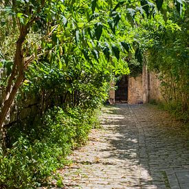 Eine kleine Gasse mit einer Bank von Blond Beeld