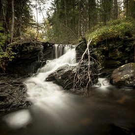 Kleine waterval in de Noorse bossen van Geke Woudstra