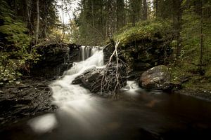 Petite chute d'eau dans les forêts norvégiennes