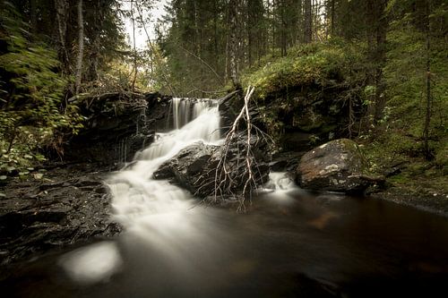 Kleine waterval in de Noorse bossen